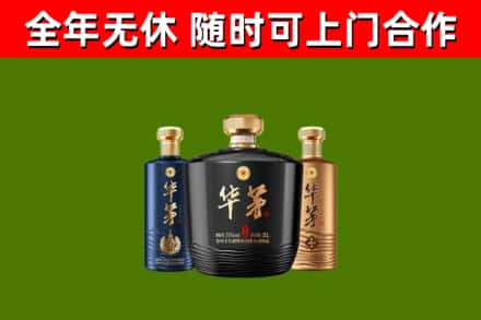河口回收华茅